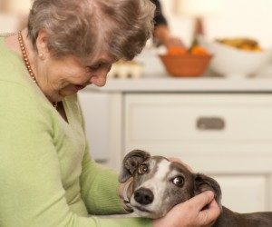 Green jumper lady & dog